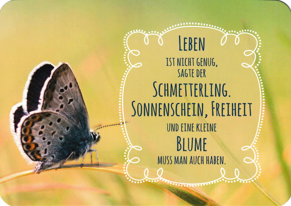 Postkarte "Leben ist nicht genug, sagte der Schmetterling."