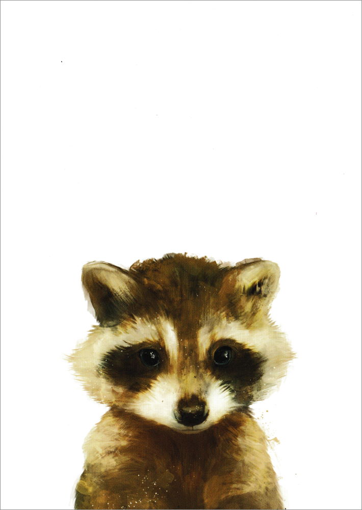 Postkarte "Little Raccoon - Kleiner Waschbär"