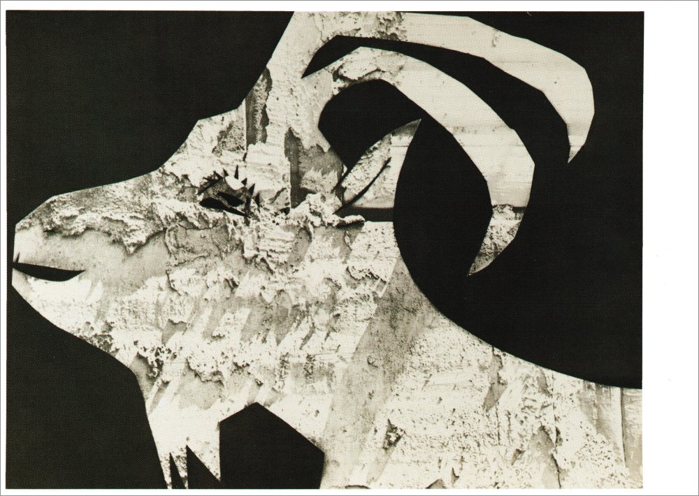 Kunstkarte Pablo Picasso "Ziege mit Gipsabfall"