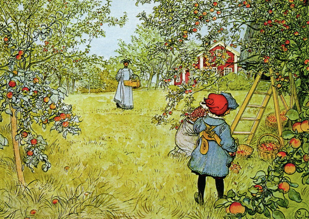 Kunstkarte Carl Larsson "Apfelernte"