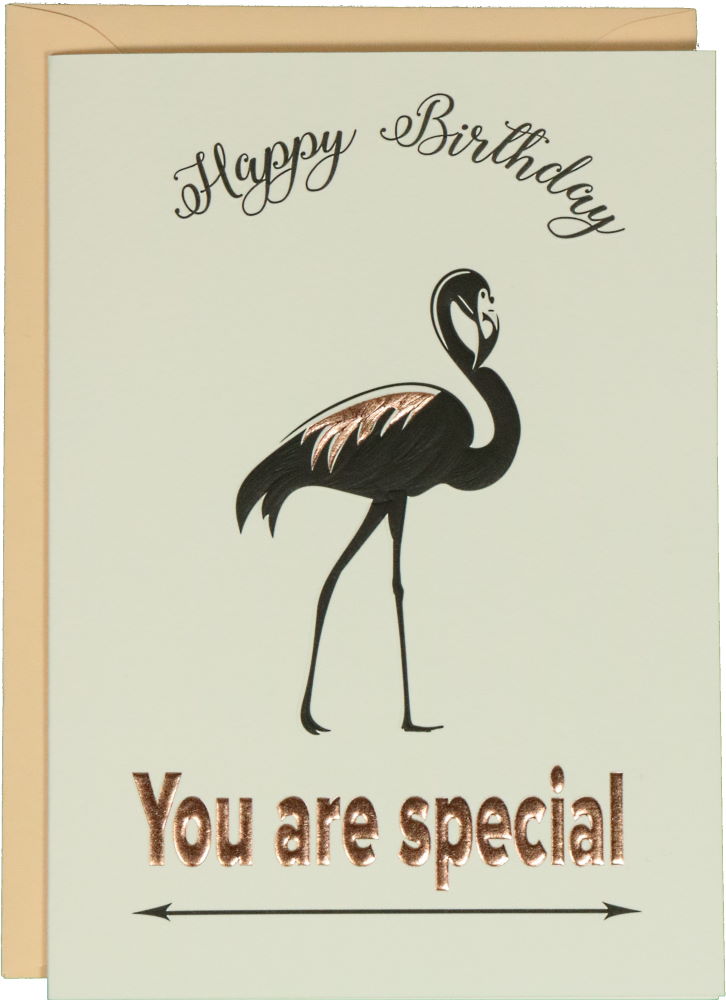 Glückwunschkarte Geburtstag: Donna May Happy Birthday - You are special!