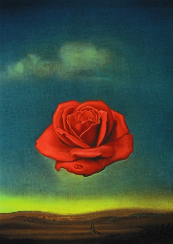 Kunstkarte Salvador Dalí "Meditative Rose"