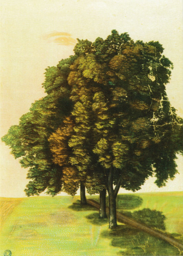 Kunstkarte Albrecht Dürer "Drei Lindenbäume"