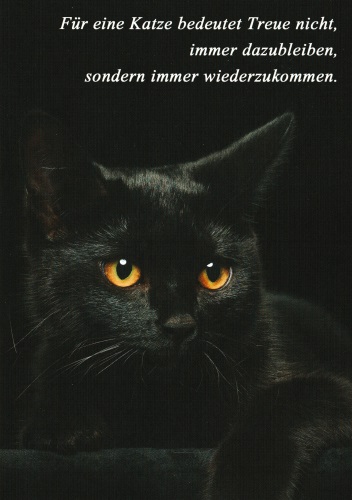 Postkarte Tiere "Für eine Katze bedeutet Treue"