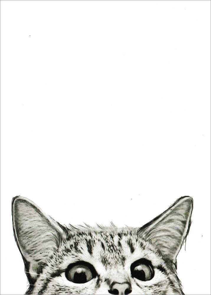 Postkarte "Cat - Katze"