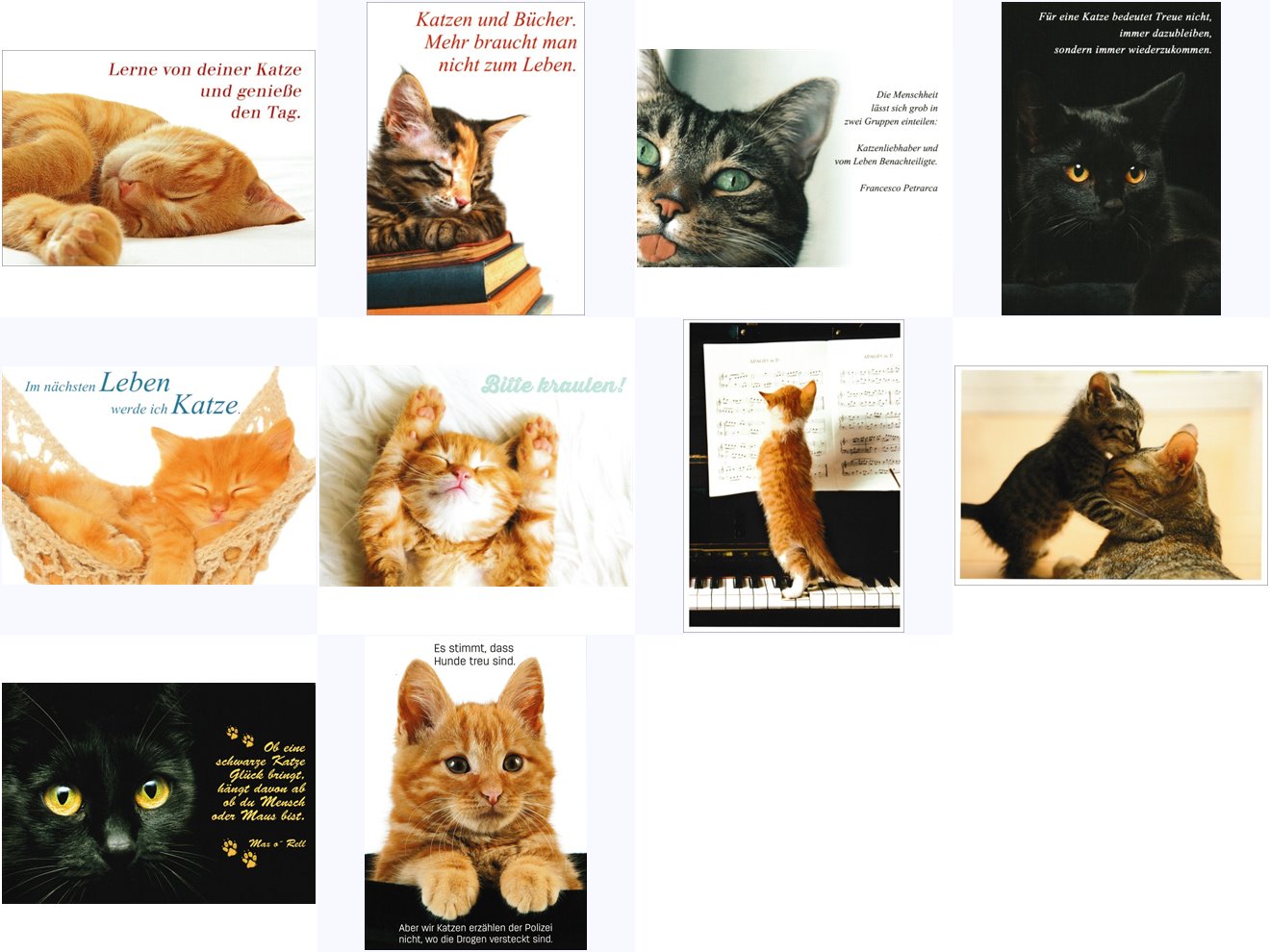 Postkarten-Set "Katzen"