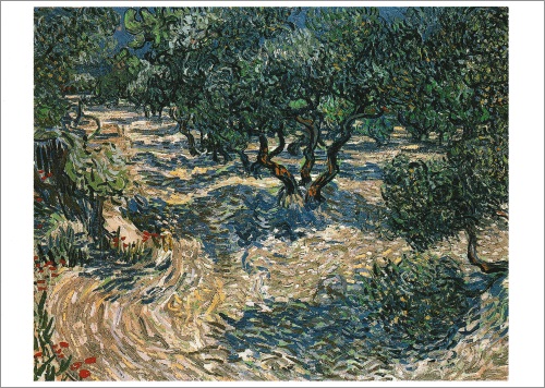 Kunstkarte Vincent van Gogh "Olivenhain"