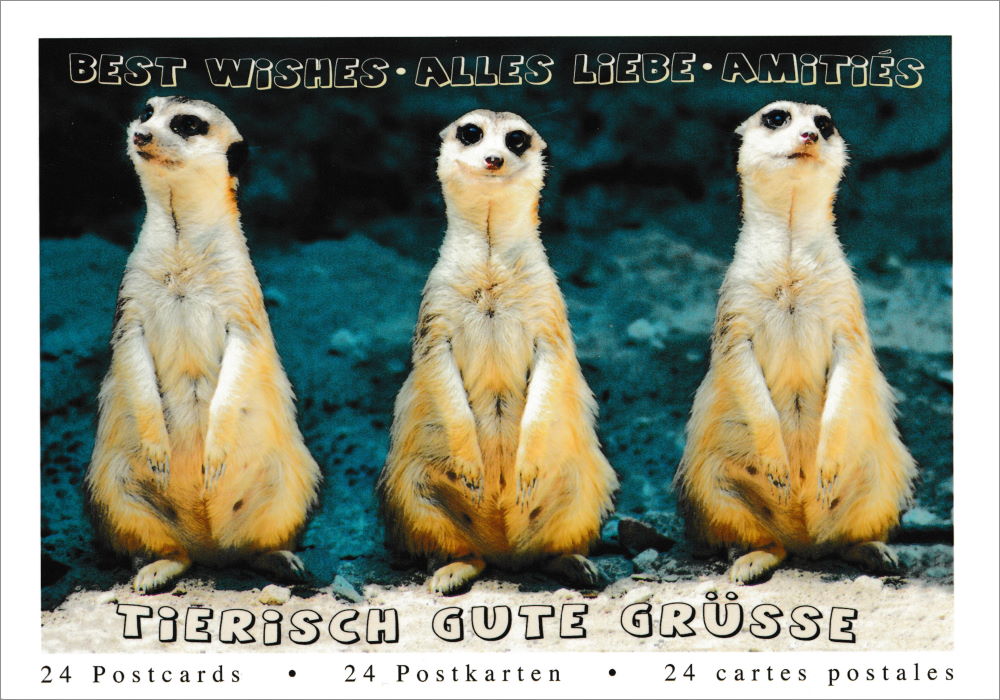 MetaFox Spirit Animals Motivationskarten – 44 Postkarten Mit Inspirierenden Sprüchen – Für Postcrossing & Deko